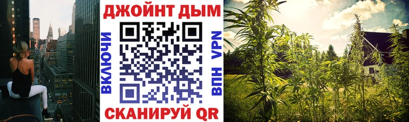 Бошки Шишки MAZAR  это телеграм  Сертолово 